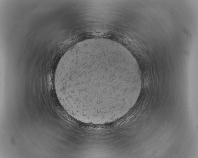 X0000111361106200908211250