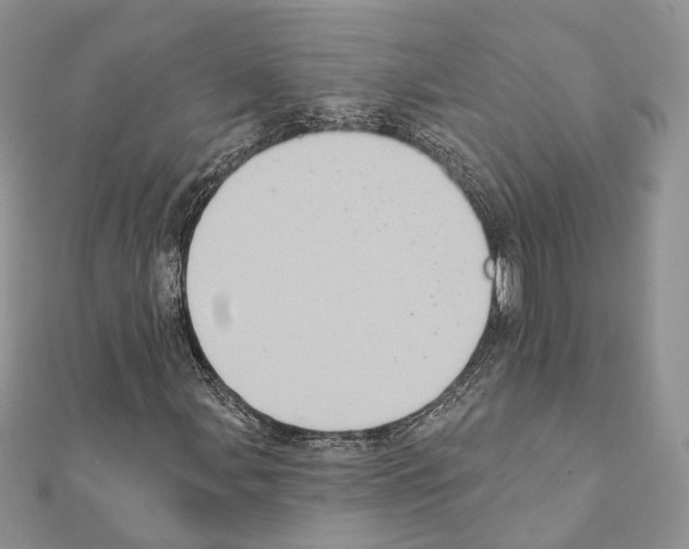 X0000111361107200908211250