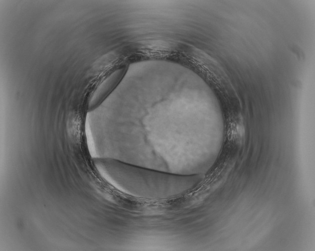 X0000111361108200908211250