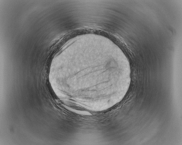 X0000111361110200908211250