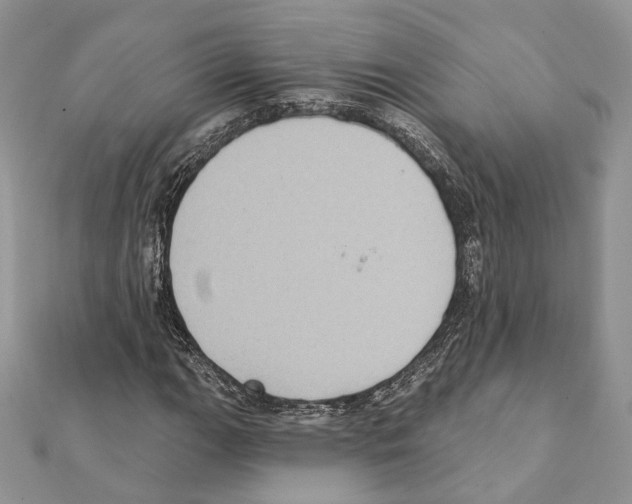 X0000111361111200908211250