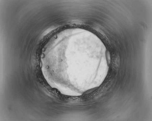 X0000111361112200908211250