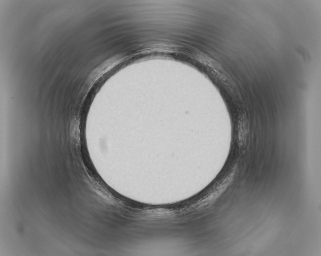 X0000111361113200908211250