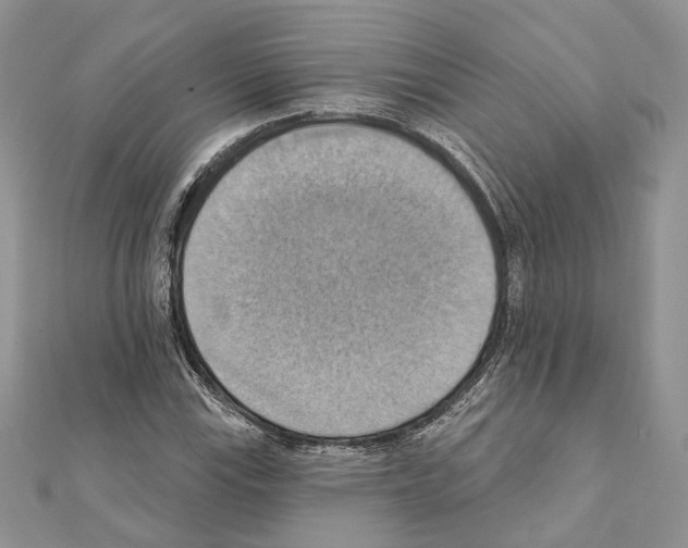 X0000111361115200908211250