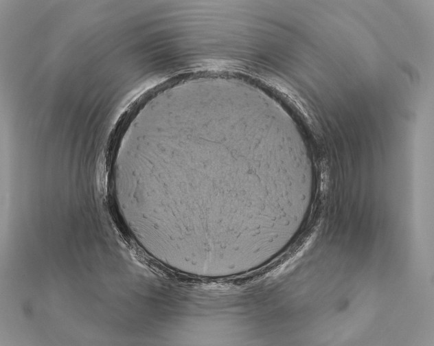 X0000111361117200908211250