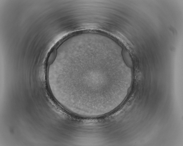 X0000111361118200908211250