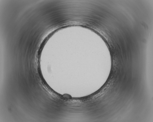 X0000111361119200908211250