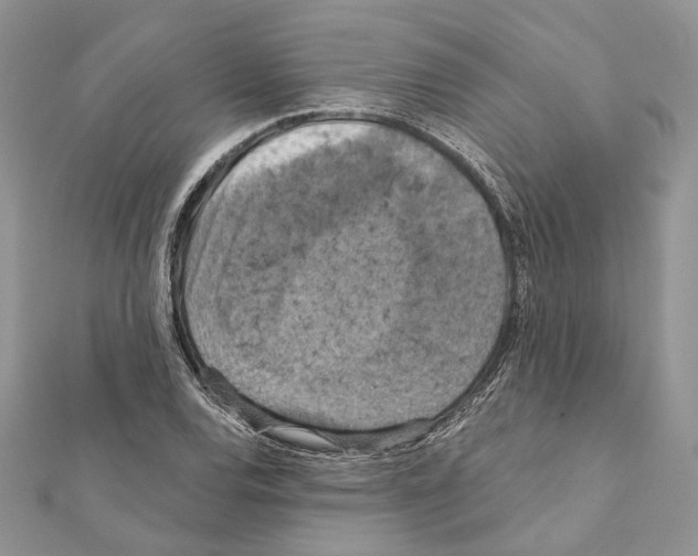X0000111361120200908211250