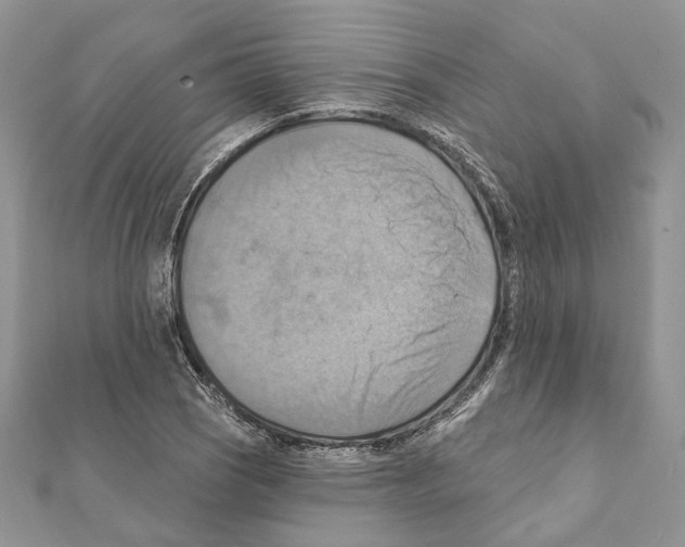 X0000111361121200908211251