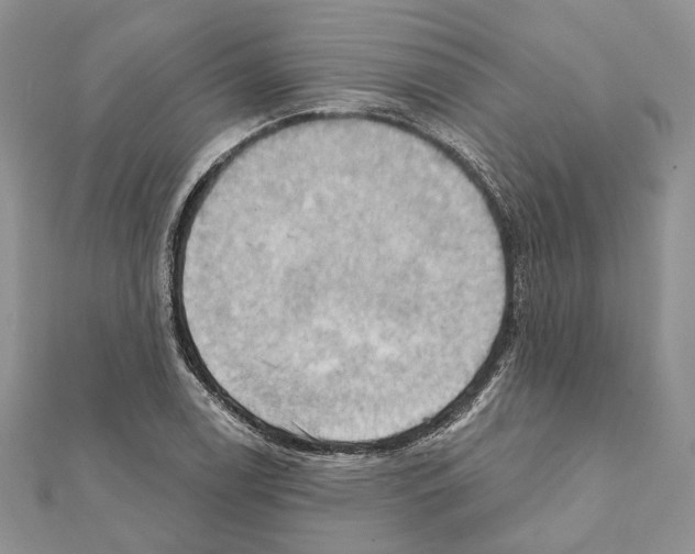 X0000111361122200908211251