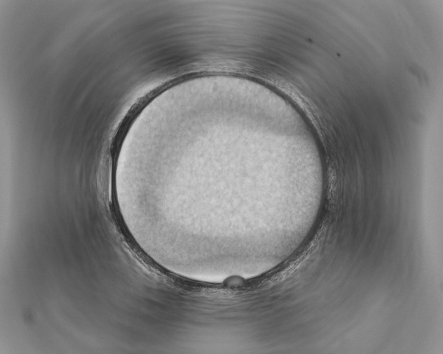 X0000111361123200908211251