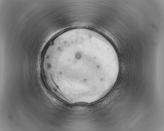 X0000111361124200908211251