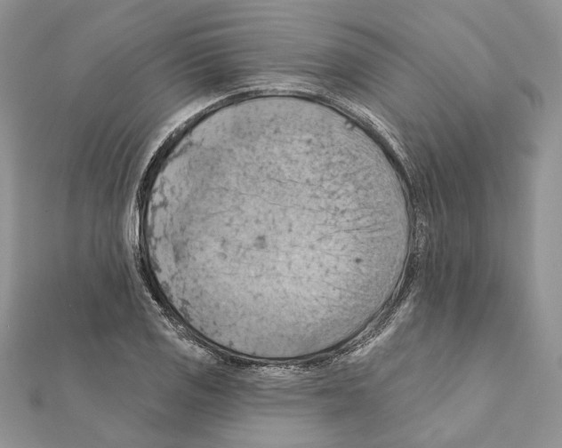 X0000111361125200908211251