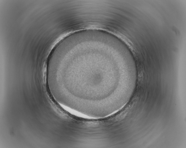 X0000111361126200908211251