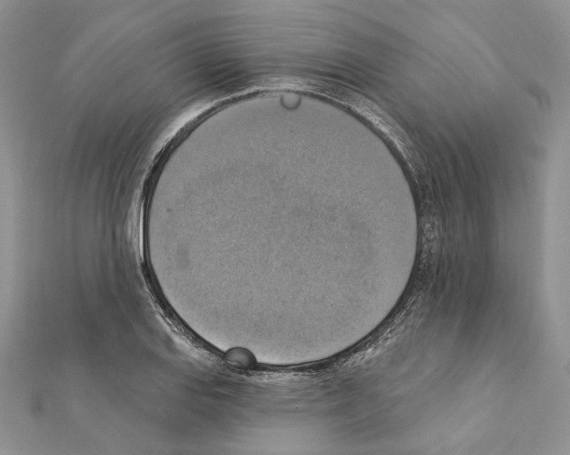 X0000111361127200908211251