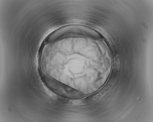 X0000111361128200908211251