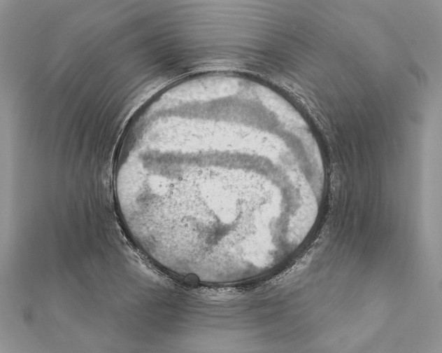 X0000111361129200908211251