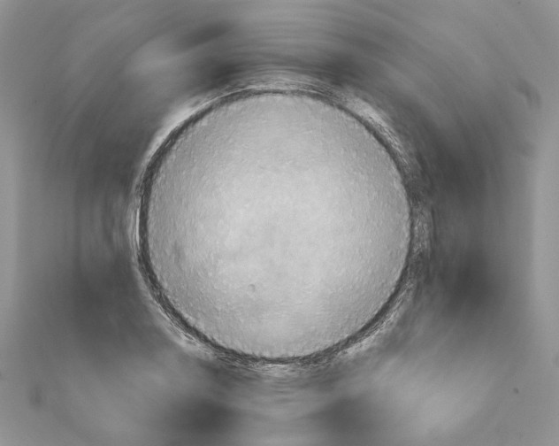 X0000111361130200908211251