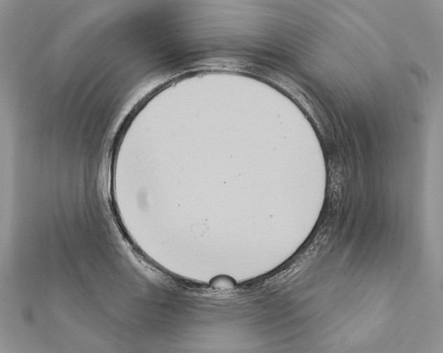 X0000111361131200908211251