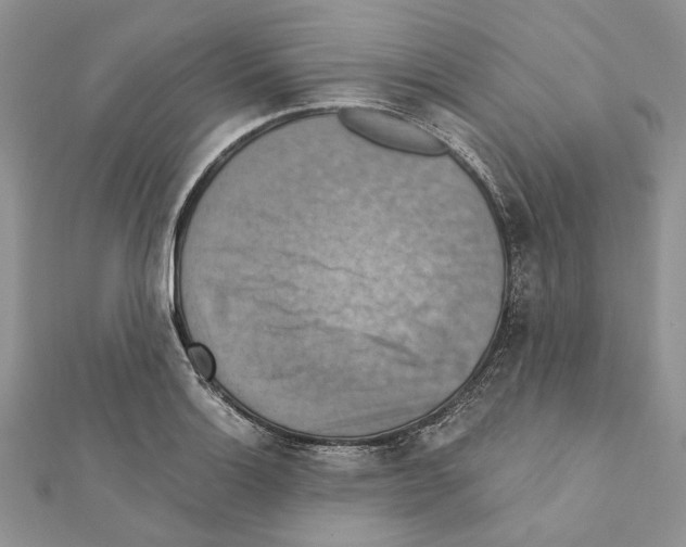 X0000111361132200908211251