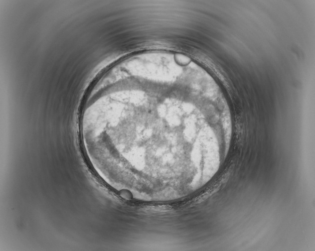 X0000111361133200908211251