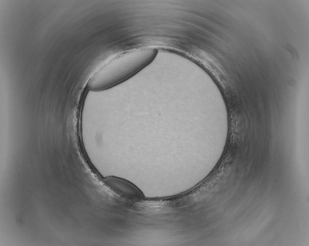 X0000111361134200908211251