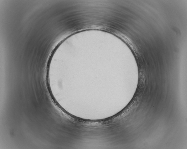 X0000111361135200908211251