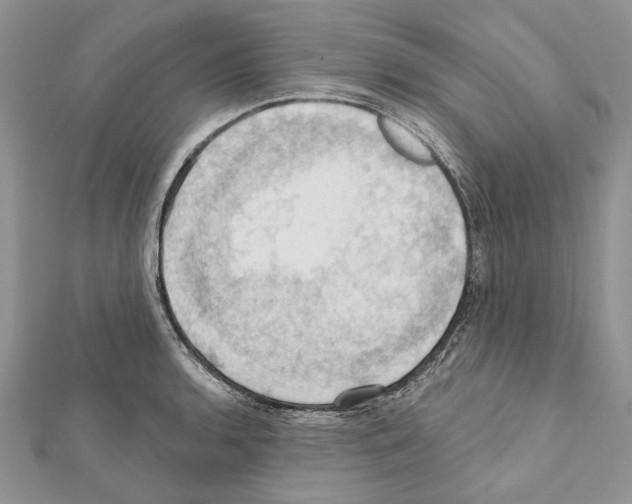 X0000111361136200908211251