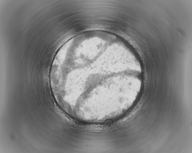 X0000111361137200908211251