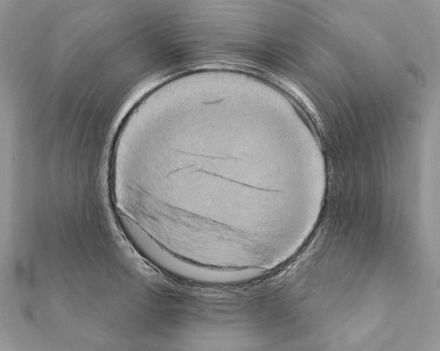 X0000111361138200908211251