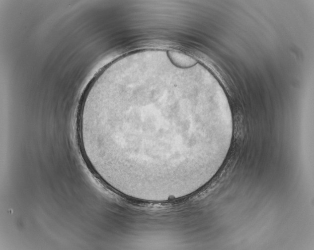 X0000111361139200908211251