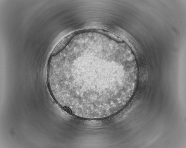 X0000111361140200908211251