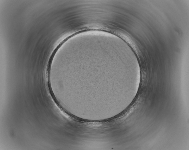 X0000111361141200908211251