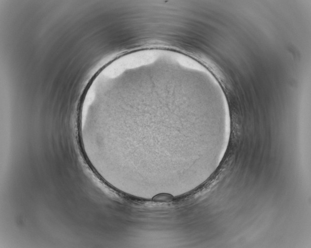 X0000111361142200908211251