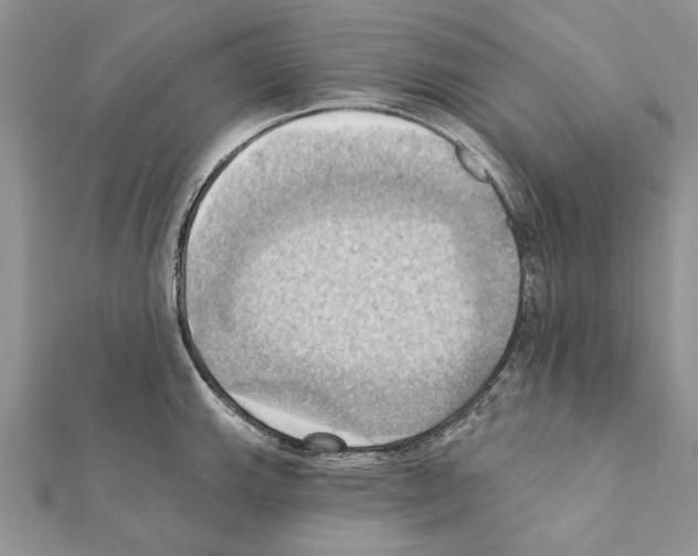 X0000111361143200908211251
