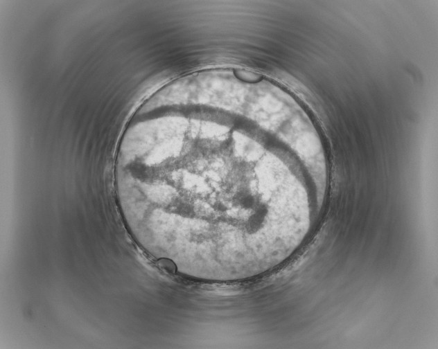 X0000111361145200908211251