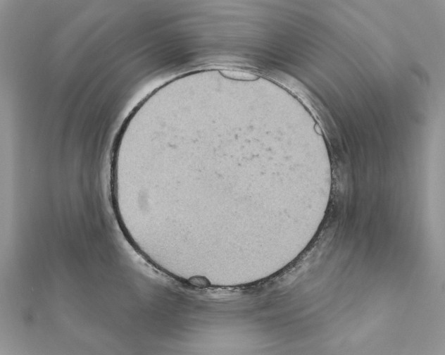 X0000111361147200908211251
