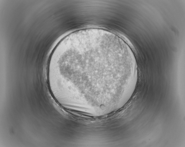X0000111361148200908211251