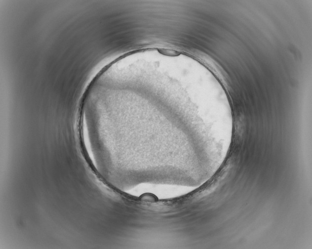 X0000111361149200908211251