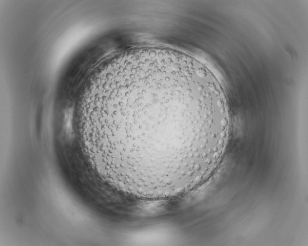 X0000111361150200908211251