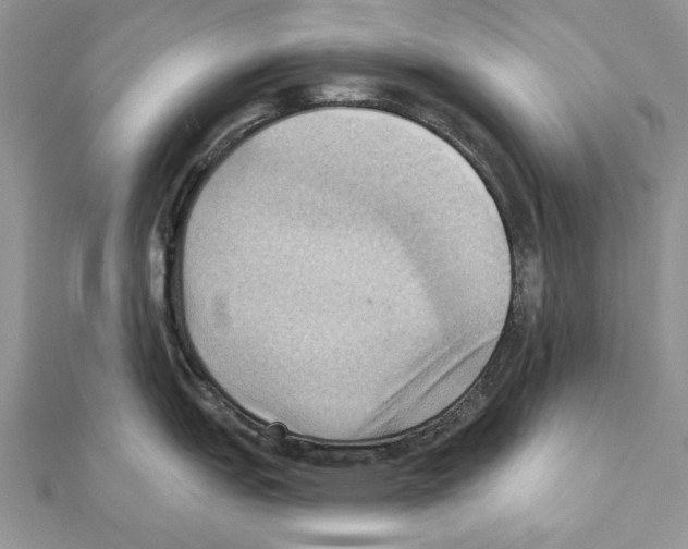 X0000111361151200908211251