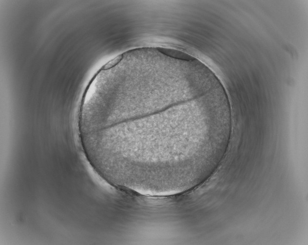 X0000111361152200908211251