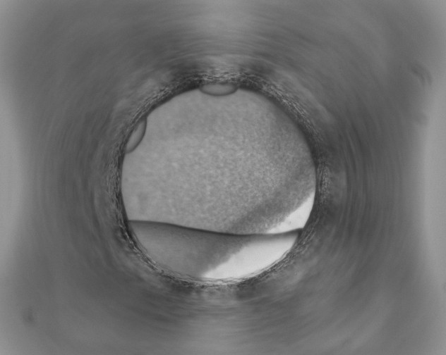 X0000111361153200908211250