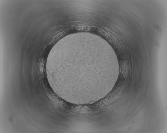 X0000111361154200908211250