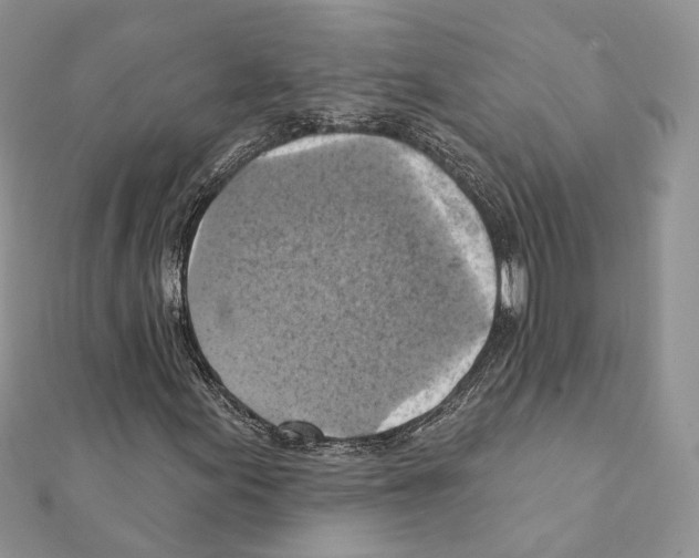 X0000111361155200908211250