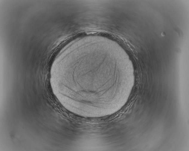 X0000111361157200908211250
