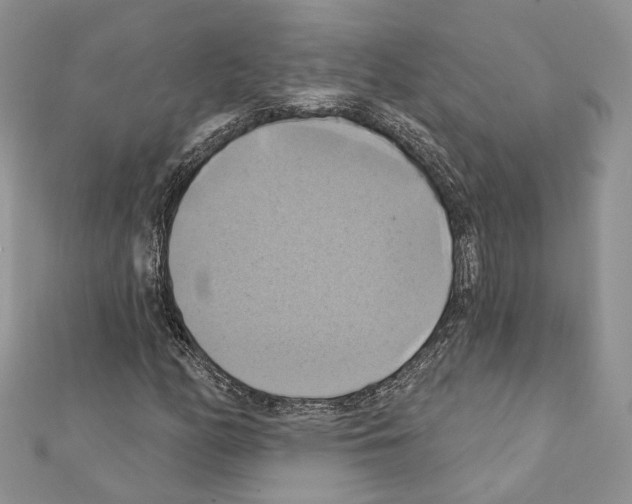 X0000111361158200908211250