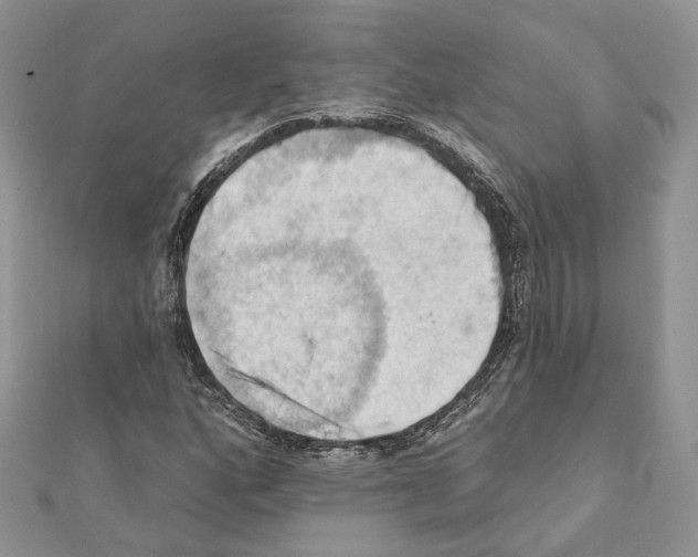 X0000111361160200908211250