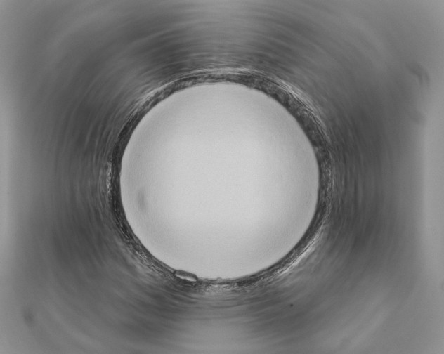 X0000111361161200908211250
