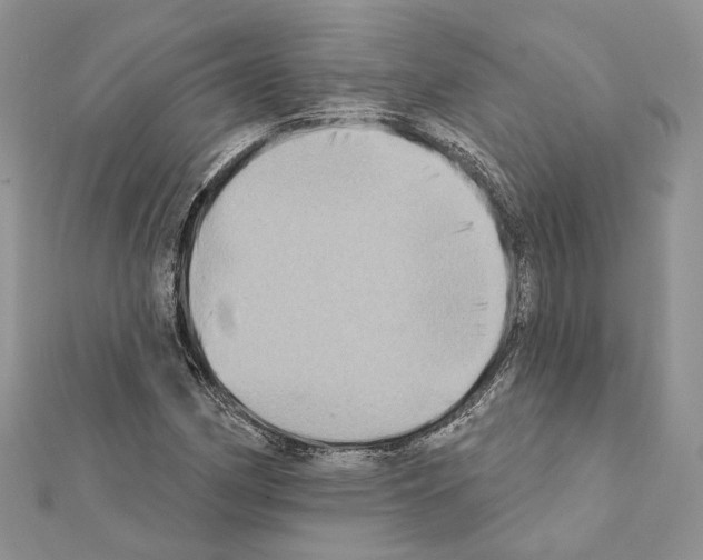 X0000111361162200908211250
